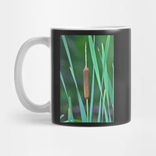 A Lone Cattail Mug